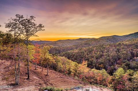 lot172 Smoky Bluff Tr, Sevierville, TN 37862