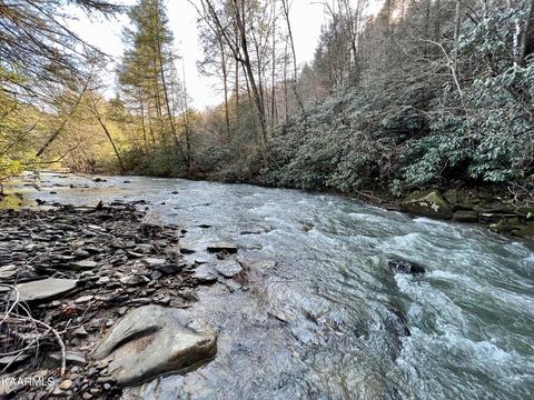 Primroy Rd, Duff, TN 37729 photo 31