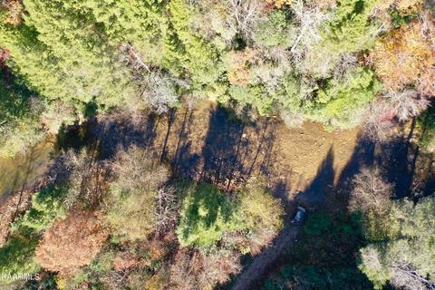 Primroy Rd, Duff, TN 37729 photo 19