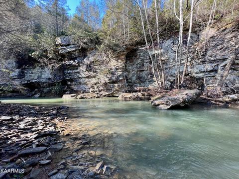 Primroy Rd, Duff, TN 37729 photo 33