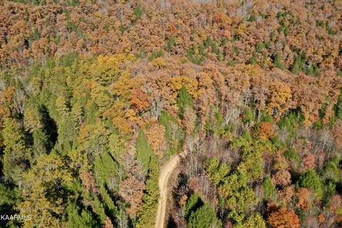 Primroy Rd, Duff, TN 37729 photo 21