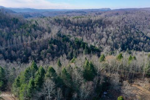 Primroy Rd, Duff, TN 37729 photo 15