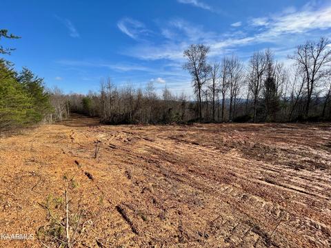 Primroy Rd, Duff, TN 37729 photo 24