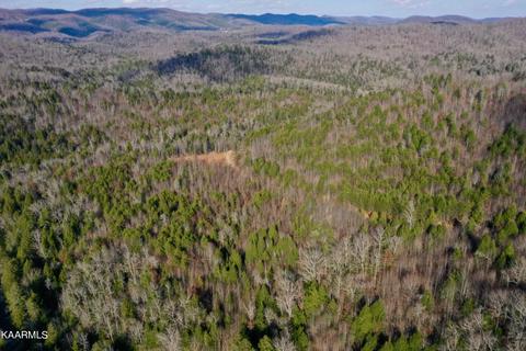 Primroy Rd, Duff, TN 37729 photo 10