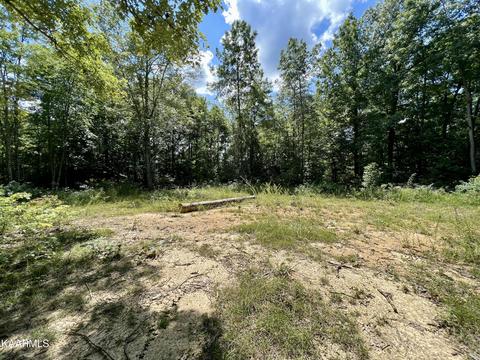 Primroy Rd, Duff, TN 37729 photo 7