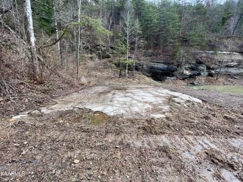 Primroy Rd, Duff, TN 37729 photo 23