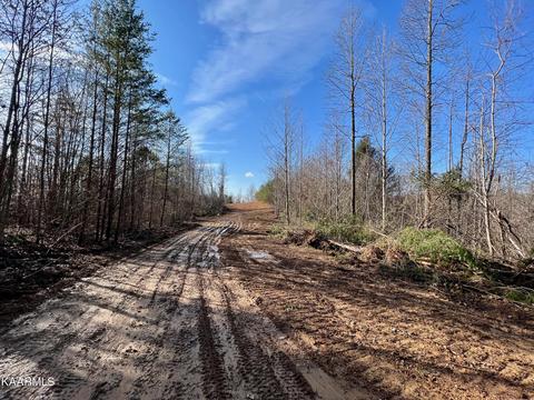 Primroy Rd, Duff, TN 37729 photo 30