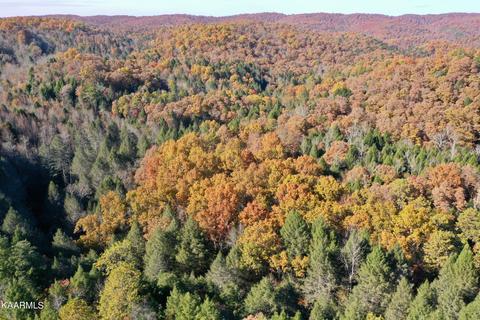 Primroy Rd, Duff, TN 37729 photo 8