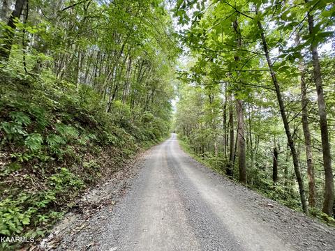 Primroy Rd, Duff, TN 37729 photo 13