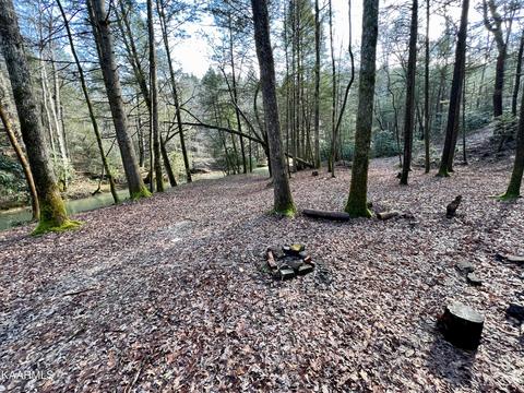 Primroy Rd, Duff, TN 37729 photo 28