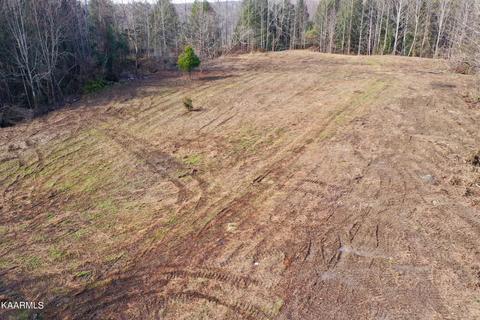Primroy Rd, Duff, TN 37729 photo 4