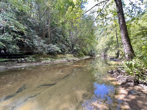 Primroy Rd, Duff, TN 37729 photo 3