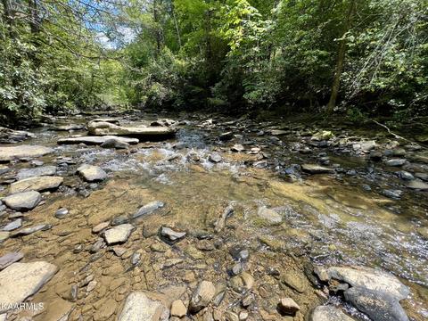 Primroy Rd, Duff, TN 37729 photo 11