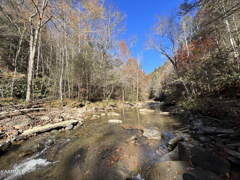 Primroy Rd, Duff, TN 37729 photo 14