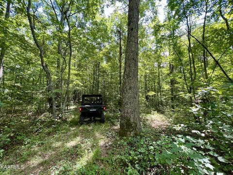 Primroy Rd, Duff, TN 37729 photo 12