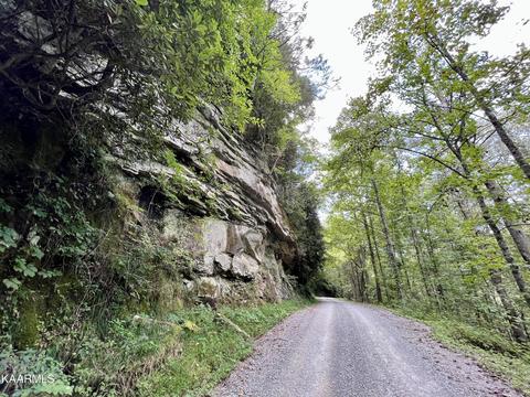 Primroy Rd, Duff, TN 37729 photo 16