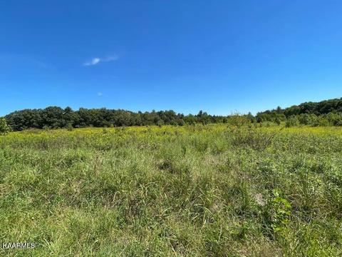 Tyler Tr, Jamestown, TN 38556