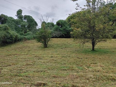 104 Country Club Rd, Rockwood, TN 37854
