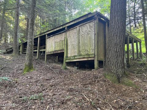 White Creek Loop, Deer Lodge, TN 37726 photo 21
