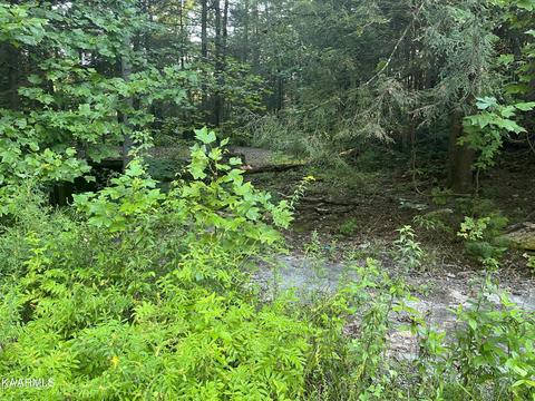 White Creek Loop, Deer Lodge, TN 37726 photo 13