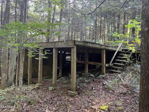 White Creek Loop, Deer Lodge, TN 37726 photo 10