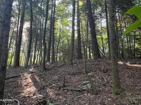 White Creek Loop, Deer Lodge, TN 37726 photo 22