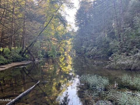 White Creek Loop, Deer Lodge, TN 37726