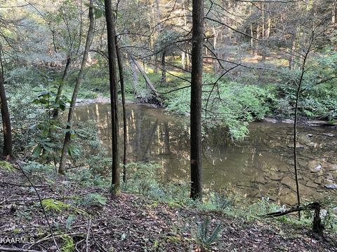 White Creek Loop, Deer Lodge, TN 37726 photo 3
