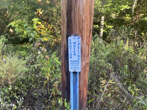 White Creek Loop, Deer Lodge, TN 37726 photo 17