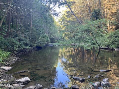 White Creek Loop, Deer Lodge, TN 37726 photo 2