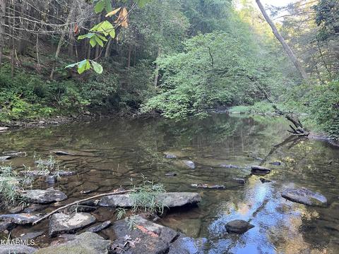 White Creek Loop, Deer Lodge, TN 37726 photo 5