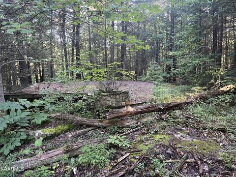 White Creek Loop, Deer Lodge, TN 37726 photo 12