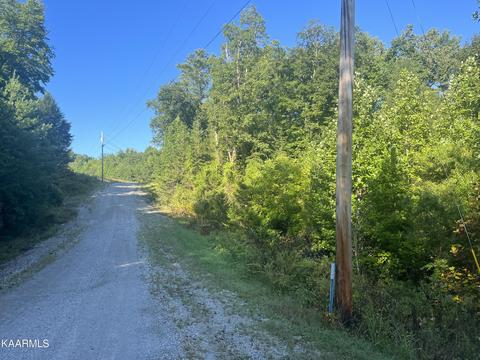 White Creek Loop, Deer Lodge, TN 37726 photo 18