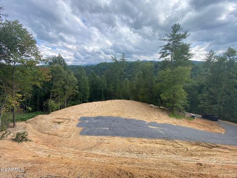 3919 Claude Shields Way, Sevierville, TN 37876
