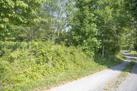 103 Flat Rock Rd, Deer Lodge, TN 37726 photo 3