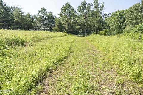 103 Flat Rock Rd, Deer Lodge, TN 37726 photo 7