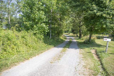 103 Flat Rock Rd, Deer Lodge, TN 37726 photo 4