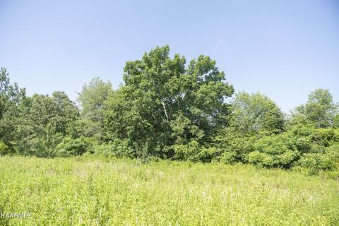 103 Flat Rock Rd, Deer Lodge, TN 37726 photo 1