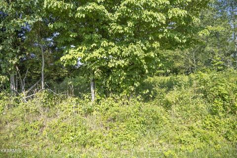 103 Flat Rock Rd, Deer Lodge, TN 37726 photo 2