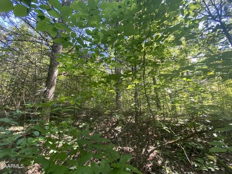 7 85 Acres Knoll Top Way #TR12, Sevierville, TN 37876