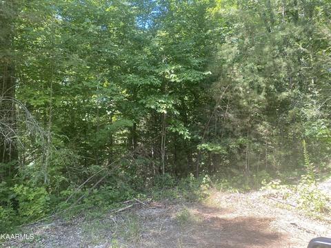 Track 3 Tall Oak Way, Sevierville, TN 37876