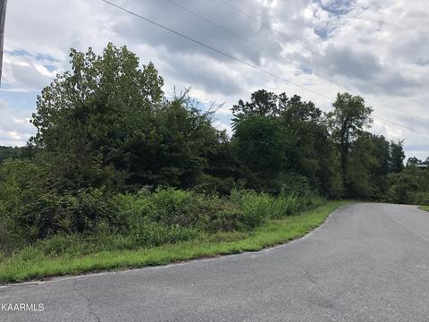 Long Spur Tr, Dandridge, TN 37725
