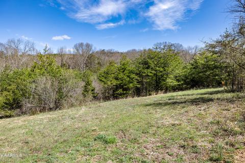 Lot 4r1 Piney Rd, Kodak, TN 37764
