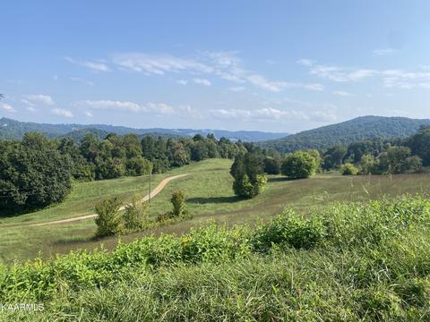 Bob Wright Rd, Maynardville, TN 37807 photo 4