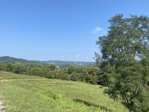 Bob Wright Rd, Maynardville, TN 37807 photo 5