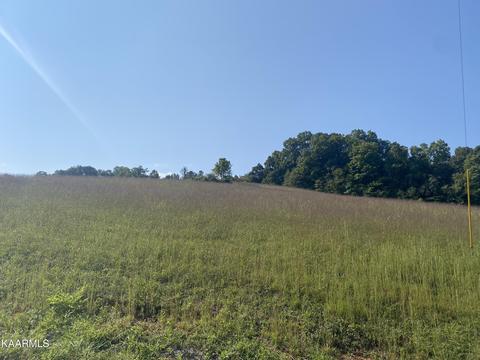 Bob Wright Rd, Maynardville, TN 37807 photo 3