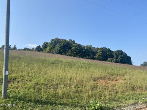 Bob Wright Rd, Maynardville, TN 37807 photo 2