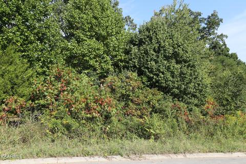 154 Ponderosa Dr, Madisonville, TN 37354