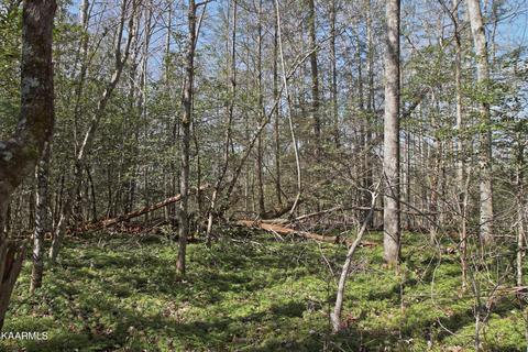 Lot 9 Mt Helen Rd, Allardt, TN 38504