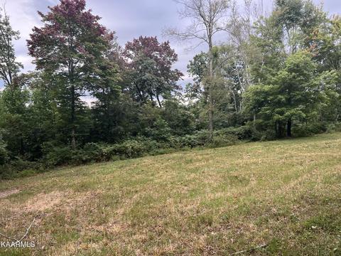 Terry Ave, Jamestown, TN 38556